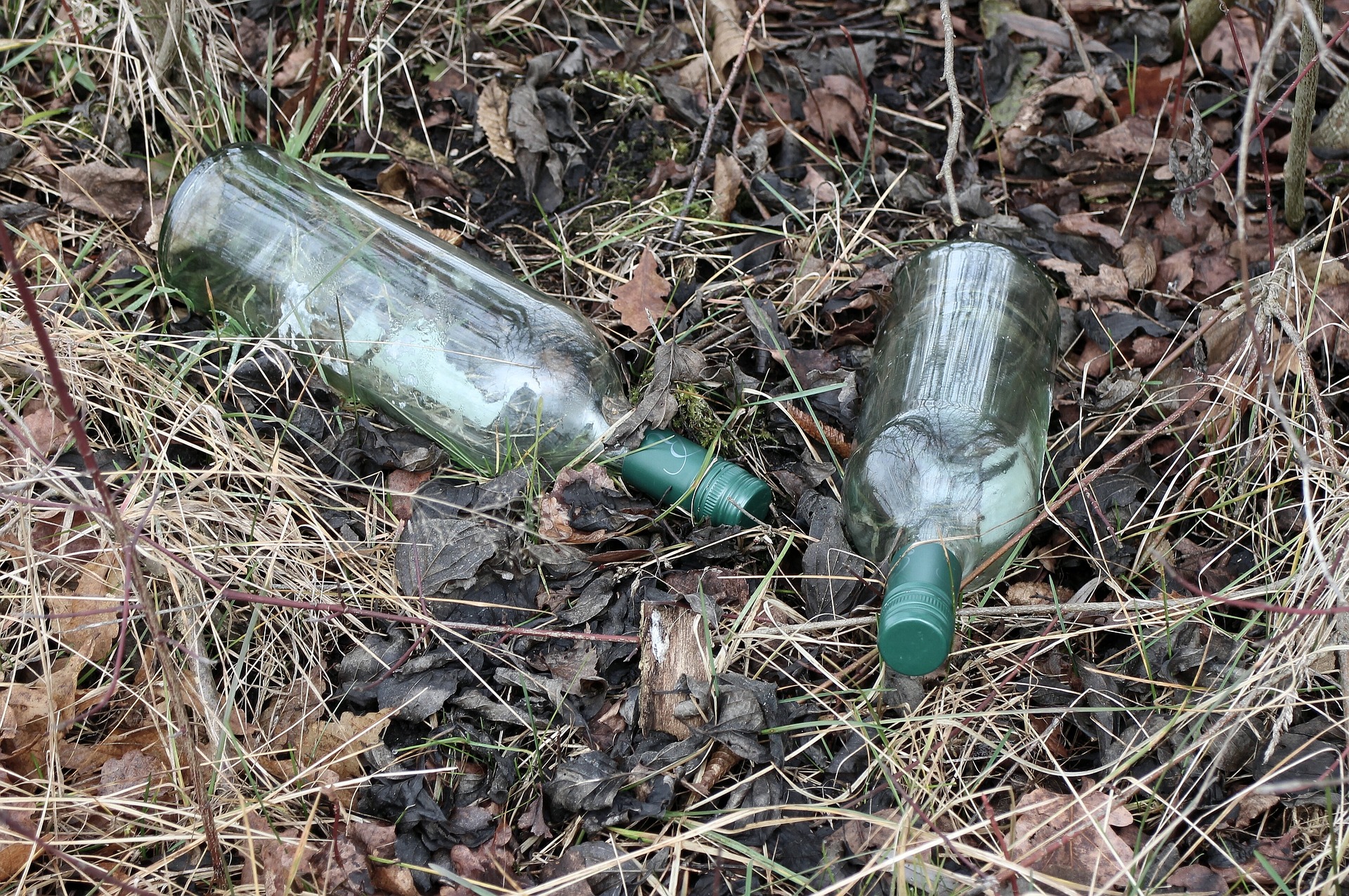 Shows Bottles Thrown On The Ground